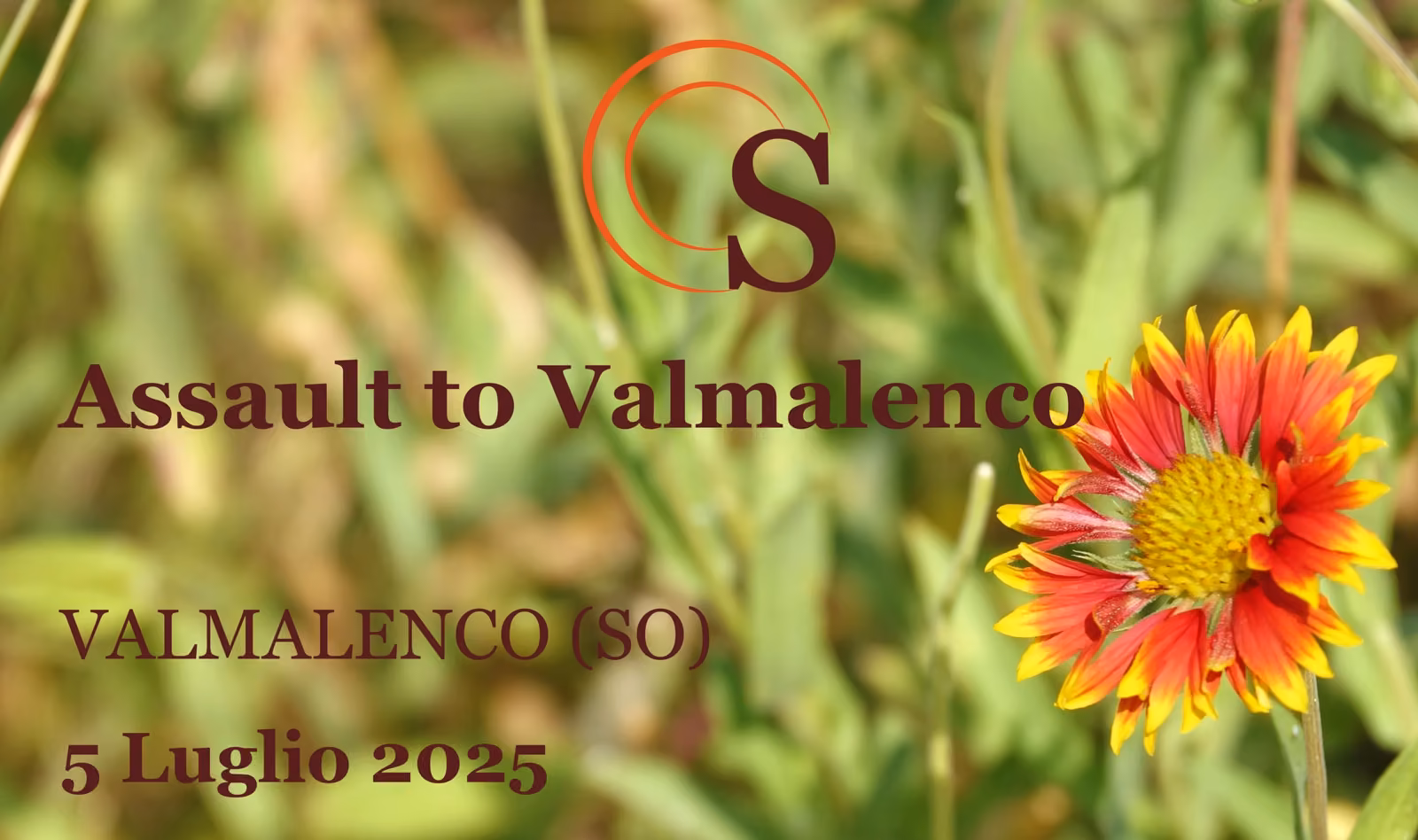 Assault to Valmalenco