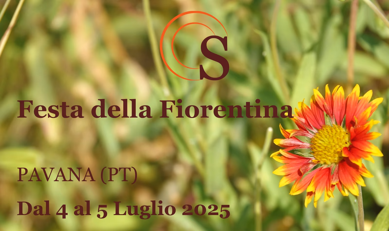 Festa della Fiorentina