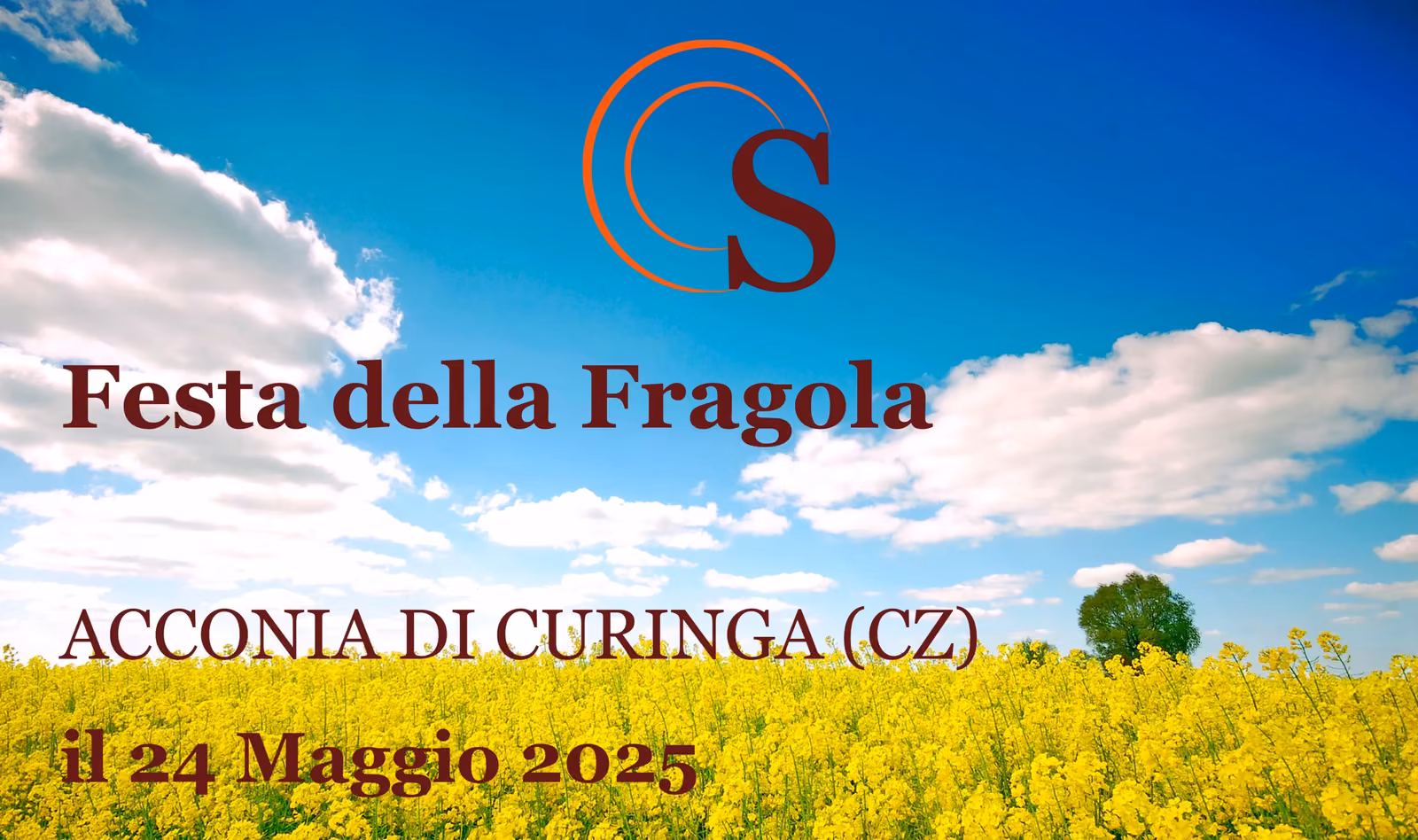 Festa della Fragola di Acconia