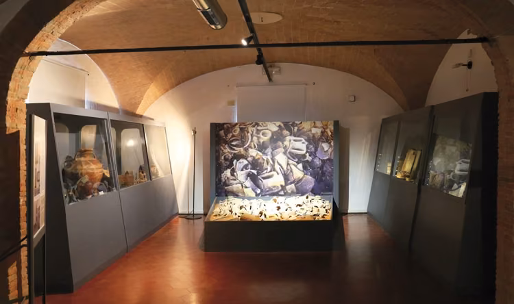 Le Notti dell'Archeologia Cecina